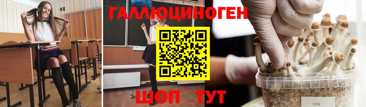 Псилоцибиновые грибы мицелий  Галлюциногенные грибы GOLDEN TEACHER  Вход с VPN  Зеленокумск 